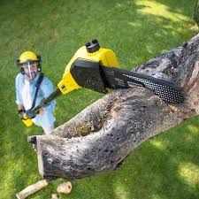 Best Emergency Tree Removal  in Sultana, CA